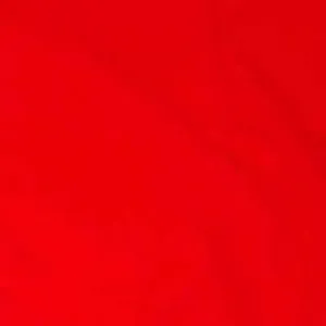 A Solid Red Board/Swim Pants - Womens CUSTOM
