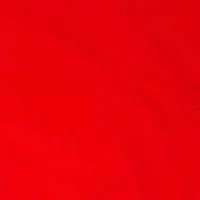 A Solid Red Board/Swim Pants - Womens CUSTOM