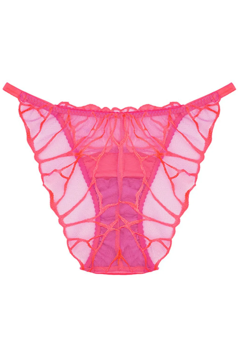 Cleo Brief