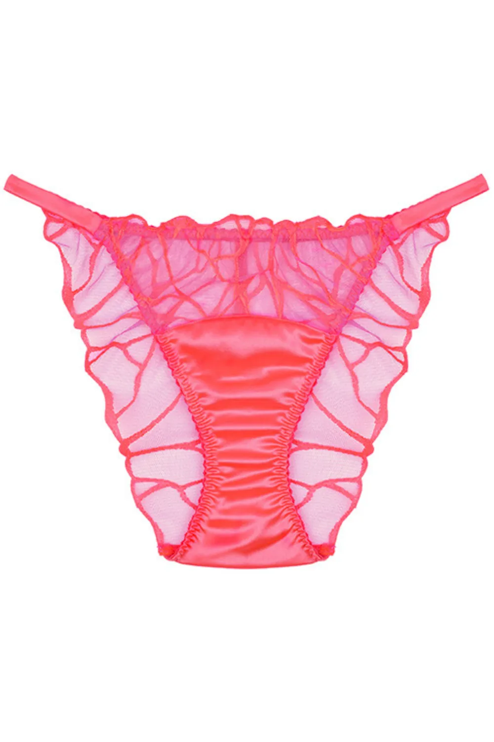 Cleo Brief