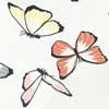 Girls GOTS Butterfly Print Briefs